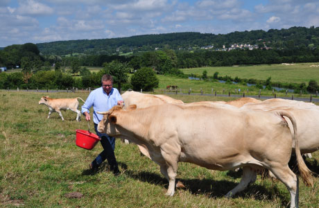 Des eleveurs du pays d'auge passionés - boucherie, charcuterie, traiteur - Le Breuil en Auge